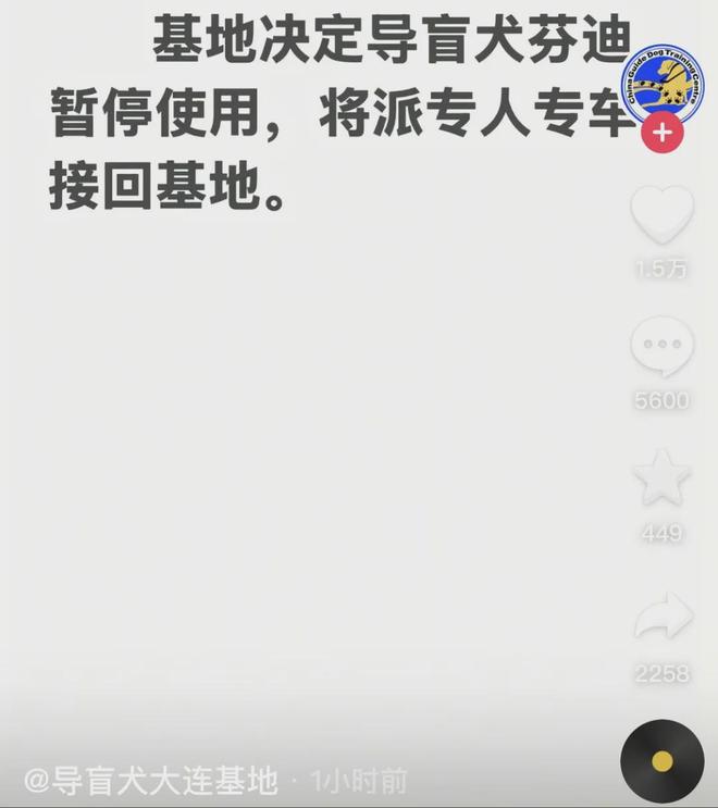 犬雨夜爬泰山引争议当事人回应AG真人国际视障人士携导盲(图3)
