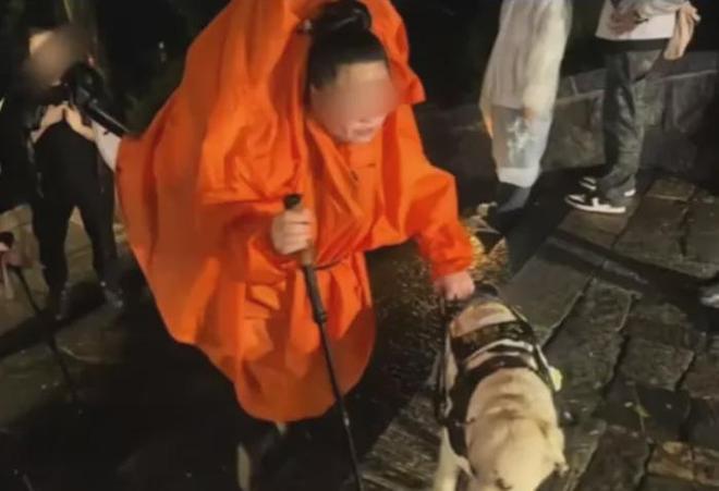 犬雨夜爬泰山引争议当事人回应AG真人国际视障人士携导盲(图2)