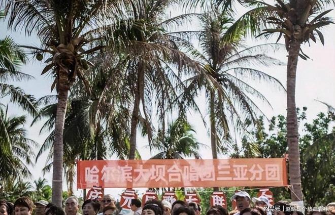 人撤离成潮压垮他们的不是物价而是生活现实AG真人百家家乐app三亚不香了？东北(图5)