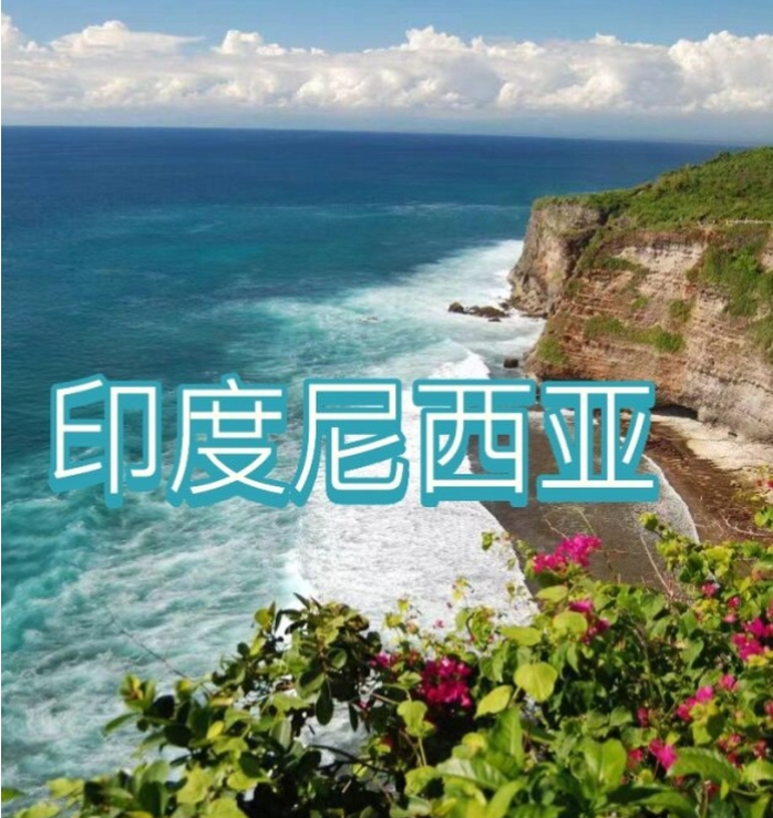 国际电商(印尼)产业博览会AG真人国际2